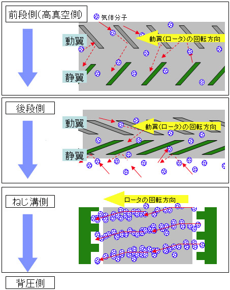 真空ポンプ1